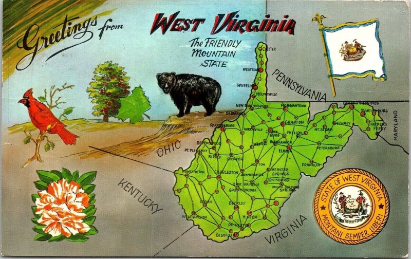 West Virginia Greetings Black Bear Hinton Franklin Romney Charleston Postcard 