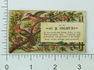 1870's-80's C. H Colby's Violin Strings Copying & Enlarging Photography Line P82