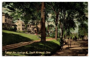 1915 West Ave, Looking North, Street Scene, Horses, South Norwalk, CT Postcard