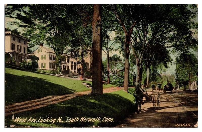 1915 West Ave, Looking North, Street Scene, Horses, South Norwalk, CT Postcard