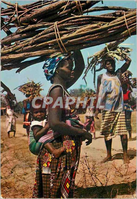 Postcard Modern Africa Colors Bearers Fagots