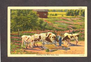 IA Greetings From West Union Iowa Linen Postcard Cows Water Pump