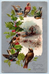 1907 Christmas Greetings Birds Holly Berries Embossed Alamota Kansas KS Postcard