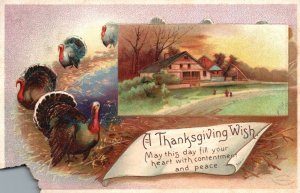 Vintage Postcard 1911 Thanksgiving Wish May This Fill Your Heart Peace Greeting