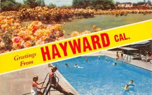 Hayward California Greetings Swimming Pool and Gardens Postcard AA87620