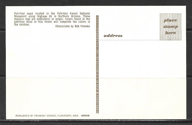 Arizona - Petrified Forest - [AZ-099]