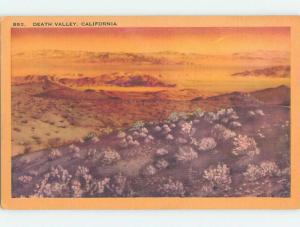 Linen RUSTIC SCENE Death Valley California CA hk3701