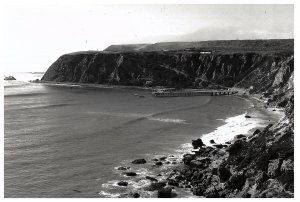 RPPC Postcard REPRINT Dana Point & Pier 1929