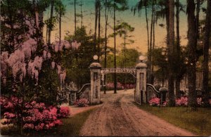 South Carolina Summerville An Entrance Gate Handcolored Albertype