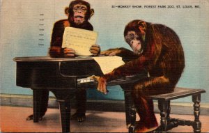 Monkeys Playing Piano The Monkey Show Forest Park Zoo St Louis 1943