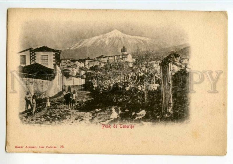 492150 Spain Canary islands Las Palmas peak of Tenerife Vintage postcard