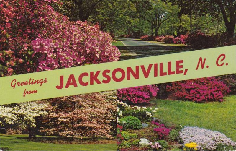 Scenic Views Of Azaleas In Bloom Greetings From Jacksonville