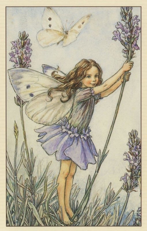 Lavender Fairy WW2 War Book Illustration Stunning Postcard