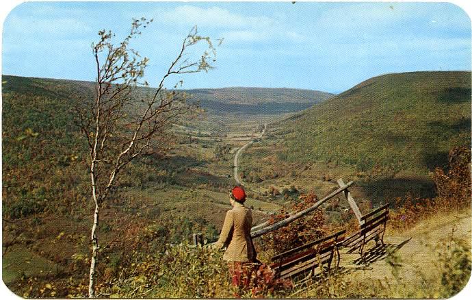 Jump Off Point Stoney Lonesome Valley Gannett Hill near Bristol Springs New York