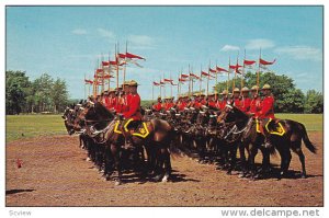 The Famed Royal Canadian Mounted Police Drilling, Canada, 1940-1960s