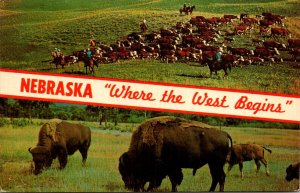 Nebraska Where The West Begins Split View Buffalo and Cattle