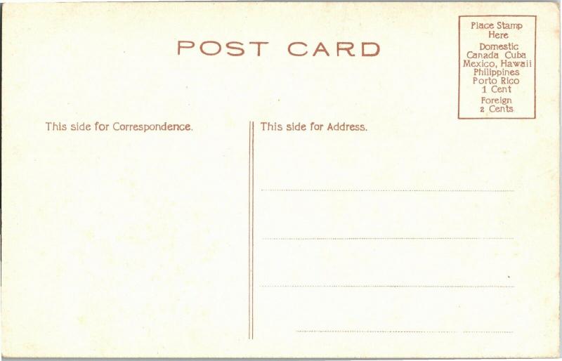 Patriotic Turkeys, Eagle, Vegetables Thanksgiving Greetings Vintage Postcard Q21