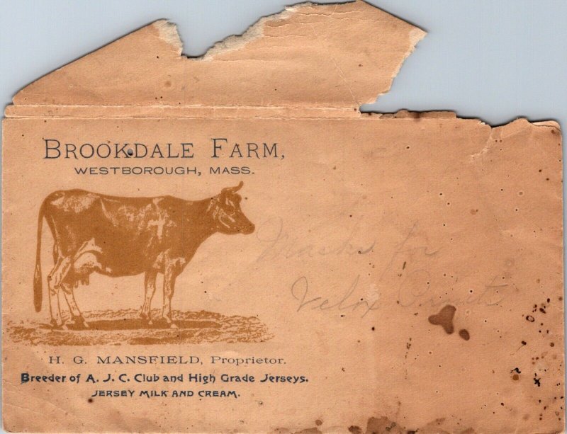 Brookdale Farm Westborough MA AJC club Jerseys fab cow cachet Mansfield envelope