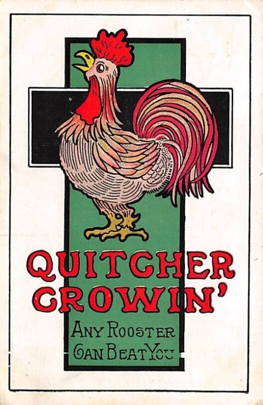 Any Rooster Chicken Postal Used Unknown 