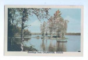 LP60 & 57 2 Cards, Calabogie Ontario, Canada, postcard