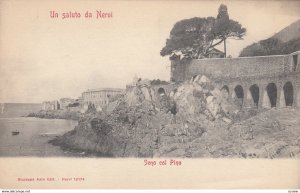 NERVI , Italy , 00-10s ; Seno col Pino