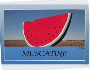 Postcard Muscatine, Iowa 