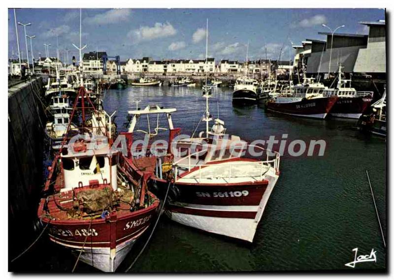 Modern Postcard The French love the Turballe fishing port