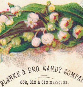 1880s Blanke & Bro. Candy Co. Medicated Rock Candy Set Of 6 Fab! F3