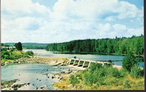 Ontario ~ WHITNEY A View of Galeairy Lake and Madawaska River Chrome 1950s-1970s