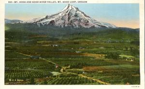 Mt Hood and the Hood River Valley OR, Oregon