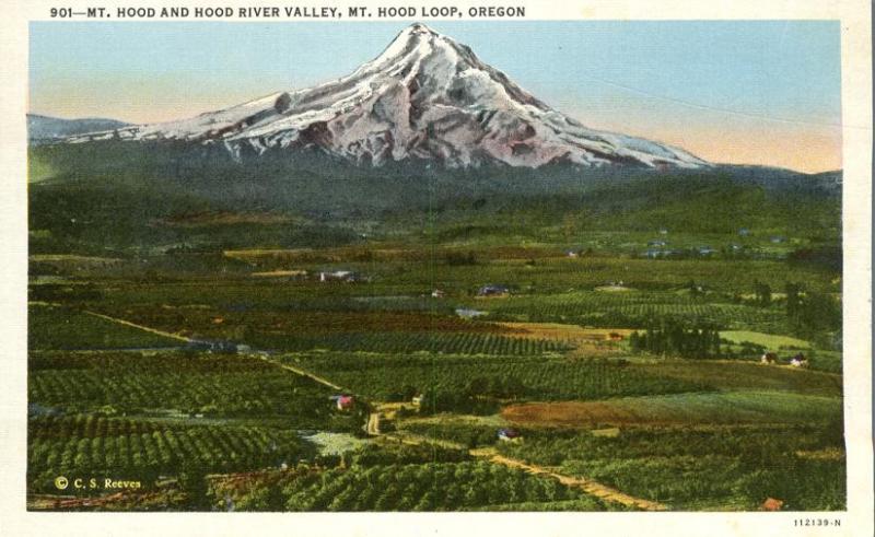 Mt Hood and the Hood River Valley OR, Oregon
