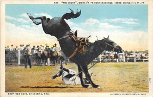 Midnight worlds famous Bucking Horse Frontier Days Cheyenne, Wyoming USA