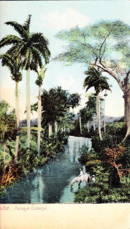 Vintage Postcard, Paisaje Cubano, Cuba Palm Trees, Horse, River C16