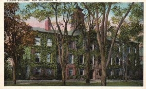 Vintage Postcard Queens Building Along Pine Trees New Brunswick New Jersey NJ