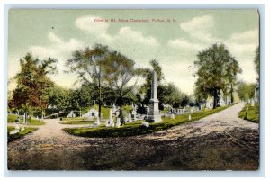 c1910 View in Mount Adna Cemetery Fulton New York NY Unposted Postcard