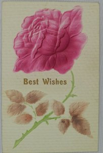 Bright Pink Rose with Thorn Vine and Leaves, Best Wishes - Vintage Postcard