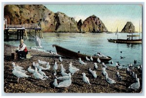 Santa Catalina Island California CA Postcard Sea Grills At Avalon 1945 Antique