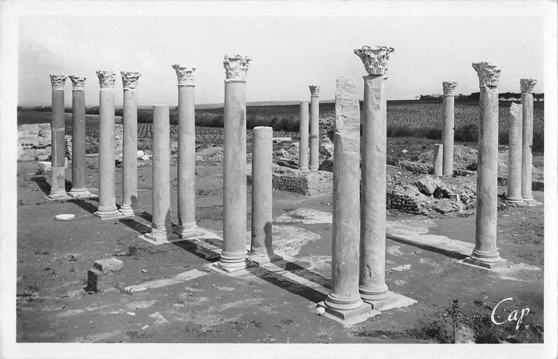 BR71067 carthage  tunisia les colonnes africa real photo