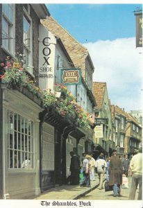 Yorkshire Postcard - The Shambles - York - Ref ZZ5088