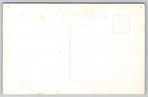 Skeletons Dicksons Mound's State Park  Illinois Postcard A48