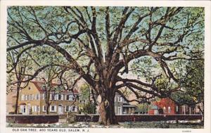 Old Oak Tree 400 Years Old Salem New Jersey