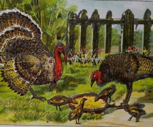 Thanksgiving Postcard Glitter Mica Wild Turkeys Julius Bien 1908 Series 9101