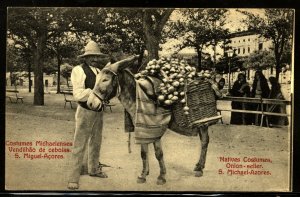 Azores Acores Vendilhao de Cebolas ..Onion seller with donkey