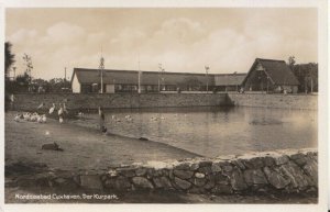 Germany Postcard - Nordseebad Cuxhaven - Der Kurpark - TZ12198