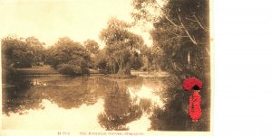 Singapore The Botanical Garden Real Photo Postcard