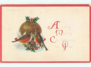 Divided-Back CHRISTMAS BIRDS SCENE Pretty Postcard W8541
