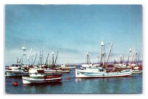 Purse Seiners In The Bay At Monterey California Postcard Boats Fishing