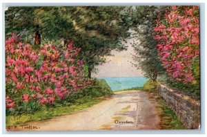 Bermuda Postcard Road Scene Oleanders Tree Plant c1910 Antique Unposted