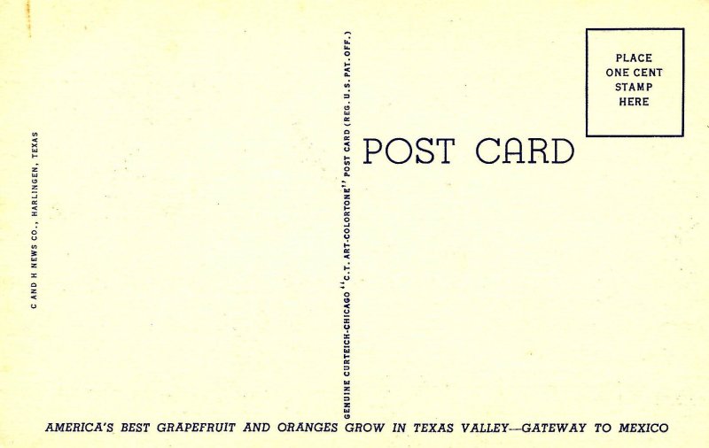 TX - Lower Rio Grande Valley. Stately Palms