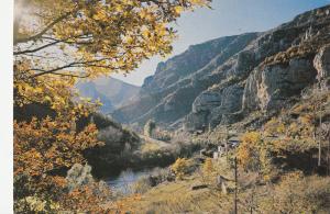 BF21346 les gorges du tarn en automne   france  front/back image